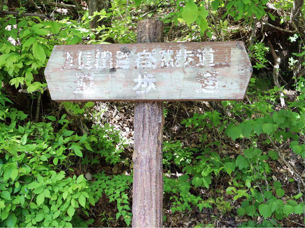 photo：字が二重に書かれている？道標・旭山（長野市）