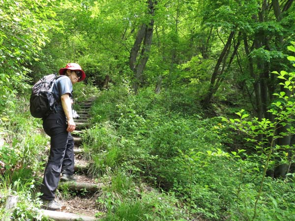 photo：階段が続く登山道・鴨ヶ嶽