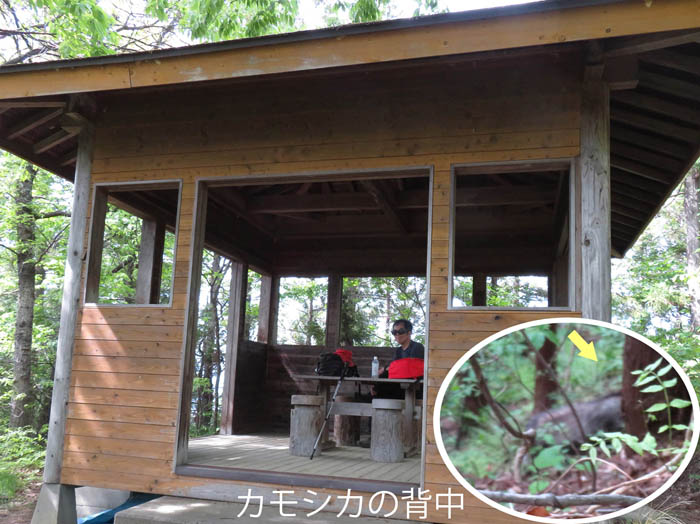 photo：立派な四阿・鴨ヶ嶽
