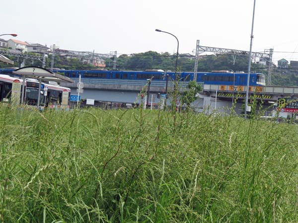 photo：青い京急線電車：京急久里浜駅