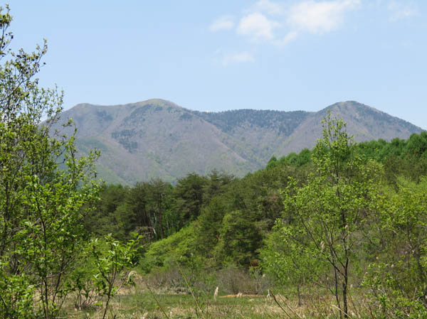 photo：飯縄山：逆谷地湿原