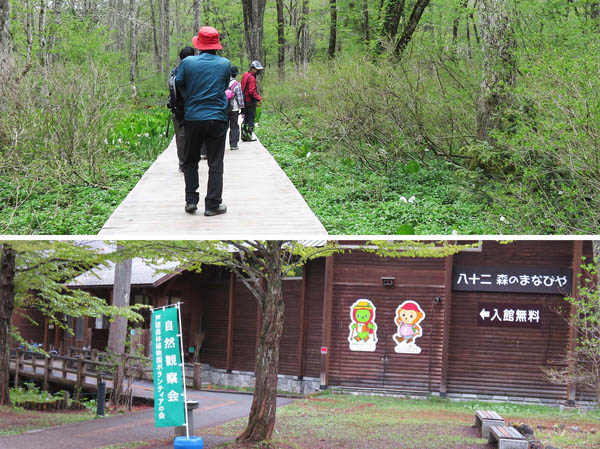 photo：戸隠森林植物園自然観察会：戸隠森林植物園