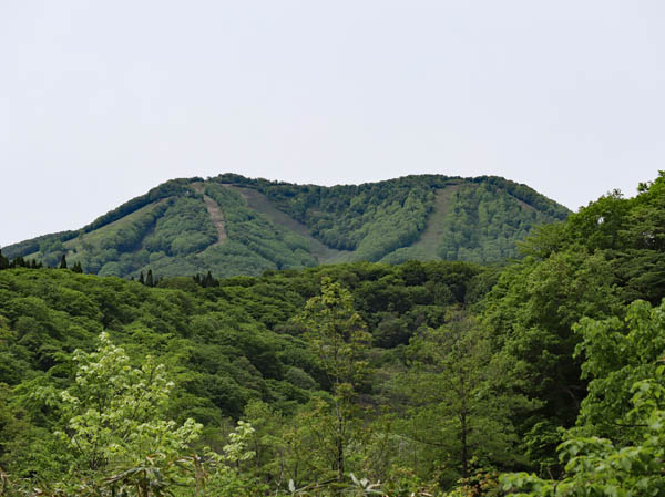 photo：斑尾山：沼の原湿原