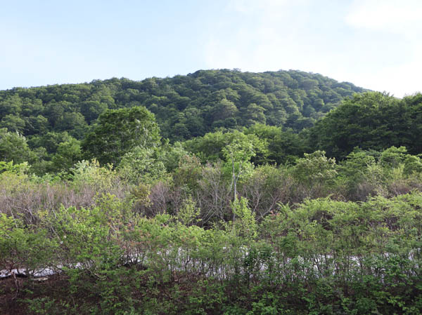photo：鍋倉山：鍋倉山