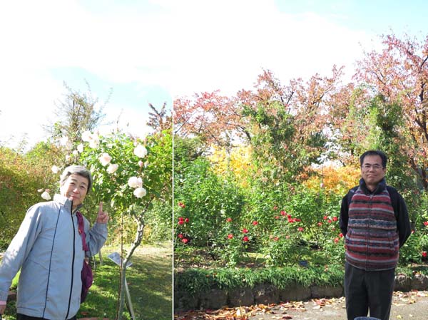 photo：秋の一本木公園 2013.11.14